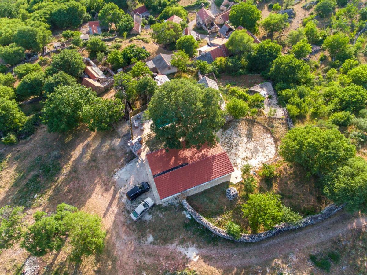 Divojevici Luxury House Ivan With 4 Bedrooms מראה חיצוני תמונה